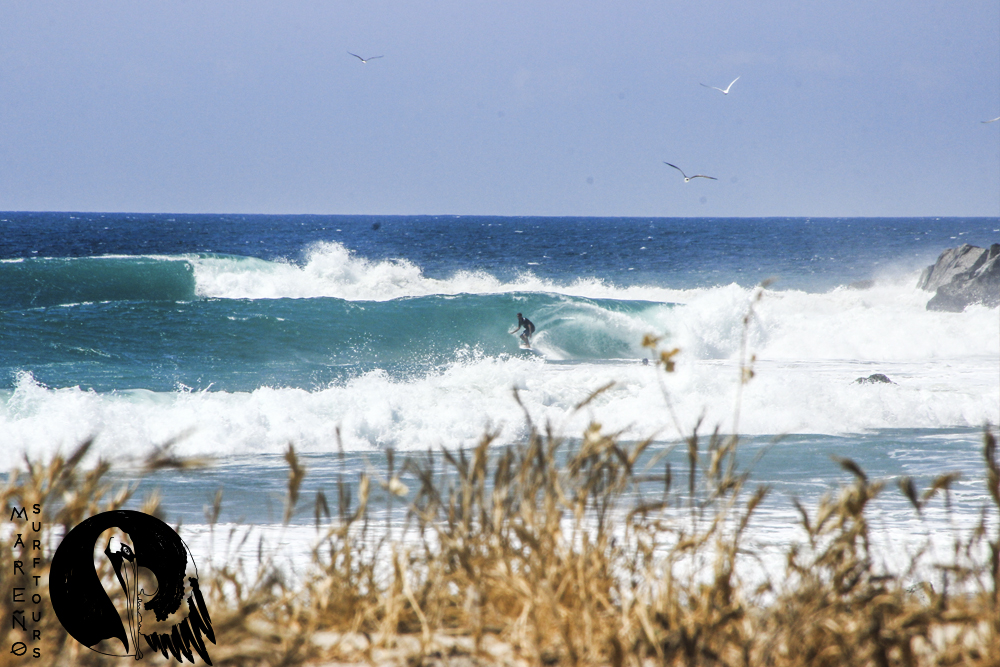 Mareño Surf Tours, Salina Cruz, Oaxaca, Mexico, surf, kitesurf, Fito surf guide, surf tour, surf camps, point breaks, beach breaks, Punta Conejo, Punta Escondida, Chipeua, Guelaguichi, Picoy, Playa abierta, Huatulco